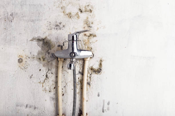 Best Certified Mold Removal  in Big Le, AK