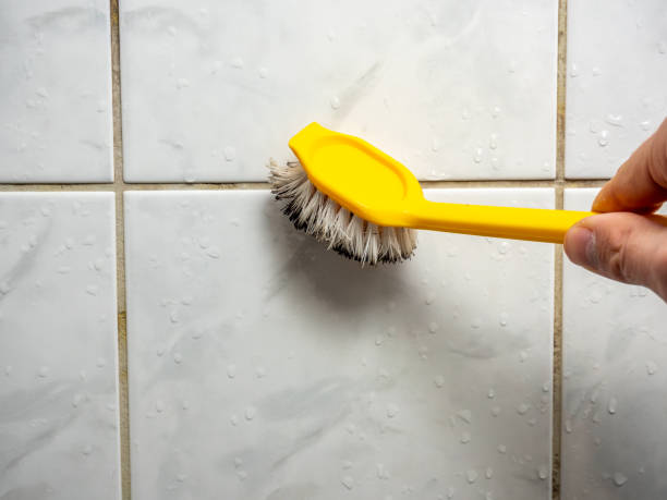 Best Emergency Mold Removal  in Big Le, AK
