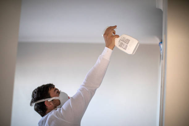 Best Fast Mold Removal  in Big Le, AK