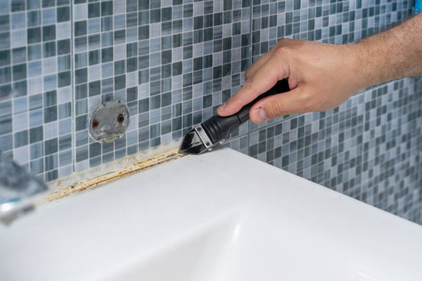 Best Affordable Mold Removal  in Big Le, AK