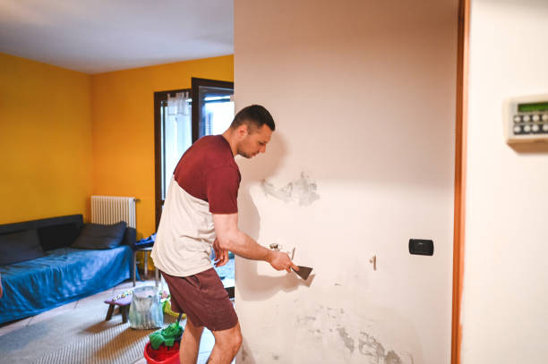 Best Commercial Mold Removal  in Big Le, AK