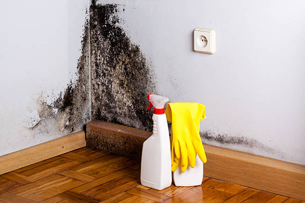 Water Damage Restoration in Big Lake, AK